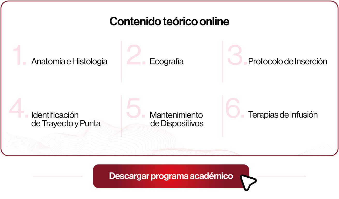 Contenido - Teoría Online Asincrónica
