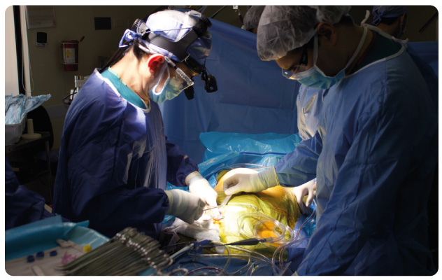 cirugia cardiovascular shaio